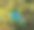 新西兰Putaruru的蓝泉风景照片图片下载
