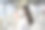 一个年轻的女人戴着口罩在大街上。图片下载