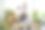 高级男子企业家工作与笔记本电脑在家直播室内植物，销售在线概念图片下载