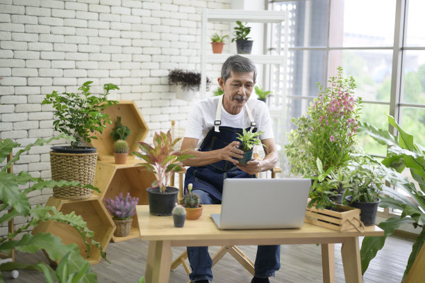 高级男子企业家工作与笔记本电脑在家直播室内植物，销售在线概念图片下载