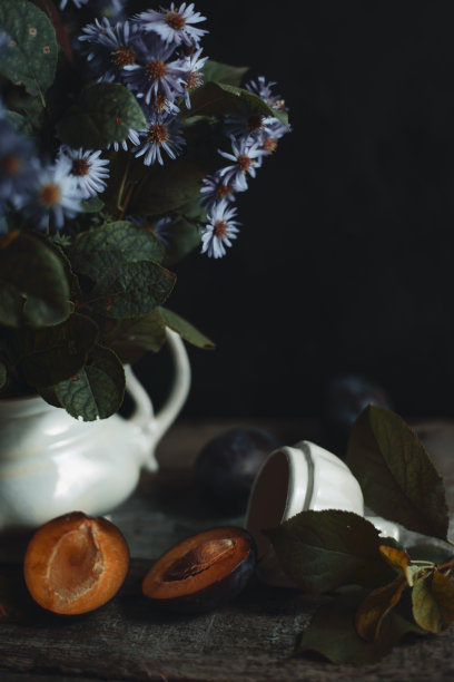 圆熟李子的美丽静物照片靠近简单的陶土花瓶图片下载