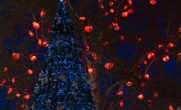 夜晚节日街道圣诞树装饰和花环照明红色和蓝色的树枝软焦点和噪音污染的概念图片图片下载
