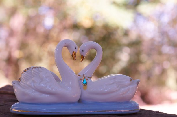 一对纪念品天鹅特写。图片下载