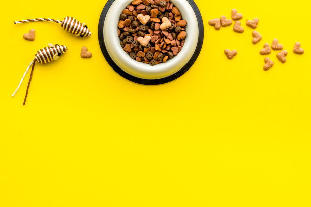 猫粮在碗和玩具，俯视图图片下载