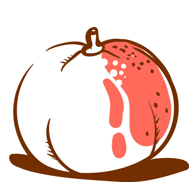 葡萄柚画在白色的背景图片下载