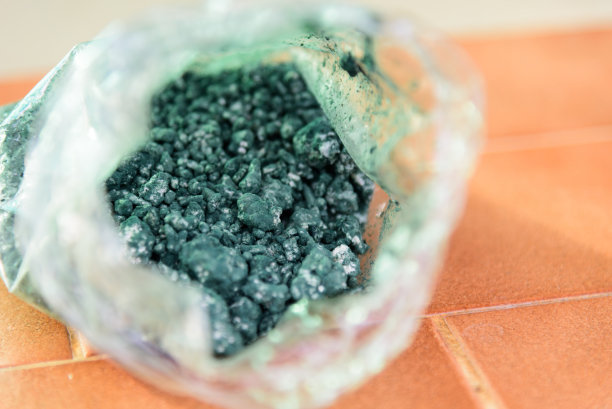 哈茨木霉的特写图片下载