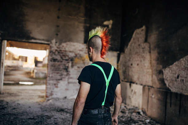 后视图的潘克与彩色的发型图片下载