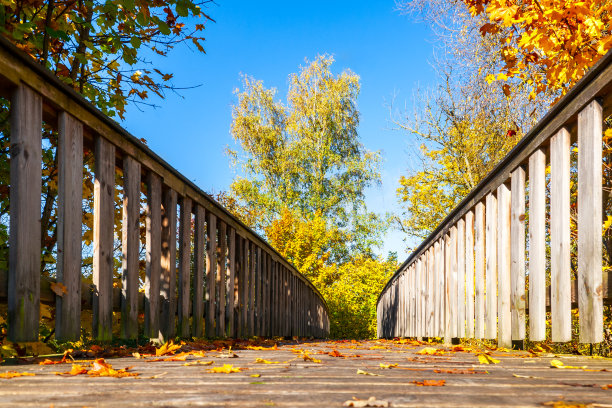 一座被五颜六色的秋叶环绕的木桥。图片下载