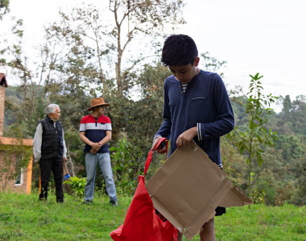 一个男孩从森林里捡起一张硬纸板图片下载
