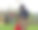 一个男孩从森林里捡起一张硬纸板图片下载