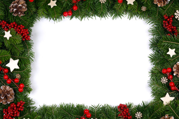 圣诞树的树枝图片下载