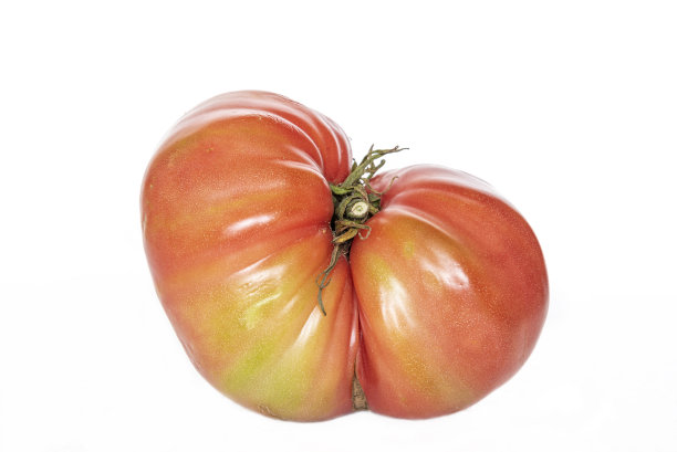 白色背景上有粗糙形状的番茄图片下载