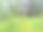在一个阳光明媚的夏日里，高大的针叶树之间狭窄蜿蜒的森林小径。森林凉爽在炎热的一天背景图片下载