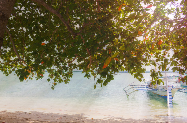阳光明媚的天堂岛与绿松石水在菲律宾海滩上。一艘菲律宾船在蔚蓝的海岸等待游客。豪华度假背景。复印水疗度假村的广告空间。冒险一次图片下载