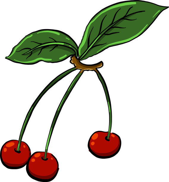 白色背景上的红樱桃图片下载