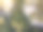 中世纪的Razboishte修道院，保加利亚图片下载