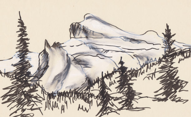 雪顶和云杉的全景图片下载