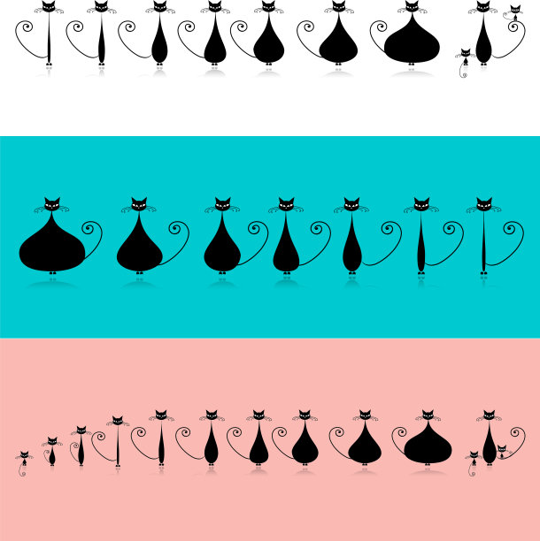 粗猫和瘦猫怀孕阶段图片下载