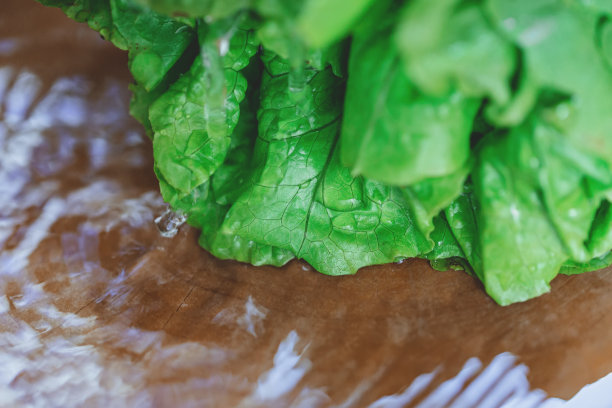 木板上的莴苣图片下载