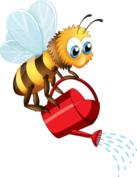 蜜蜂在白色的背景上浇水图片下载
