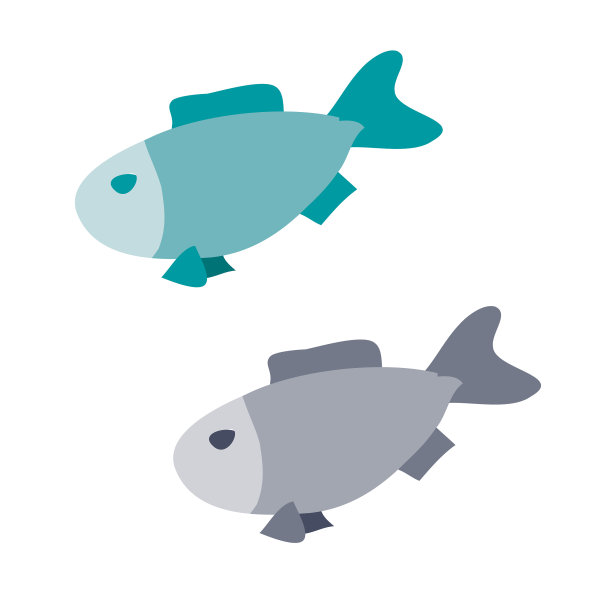 将两条鱼放置在一个白色物体上图片下载