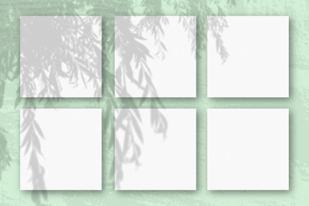 自然光从柳枝上投射阴影在6张方形的白色纹理纸上图片下载