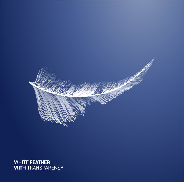 粉红色背景上的白色蓬松羽毛图片下载