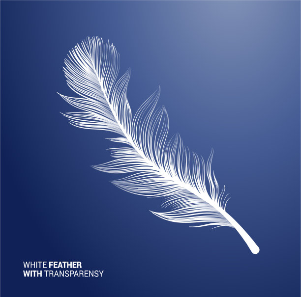 粉红色背景上的白色蓬松羽毛图片下载