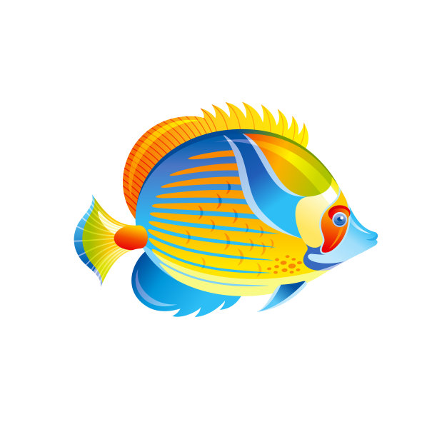 热带鱼，天使，蝴蝶，异国情调的鱼图片下载