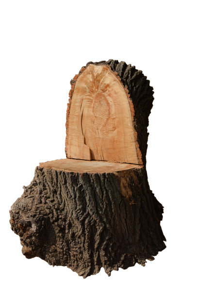 在白色背景上雕刻成椅子或宝座形状的大木桩图片下载