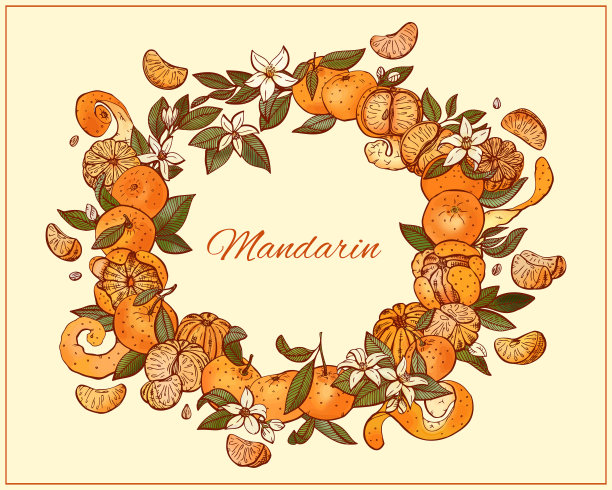 橘子片、瓜子、果皮、叶、花相框。图片下载