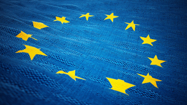 挥舞着欧盟旗帜图片下载