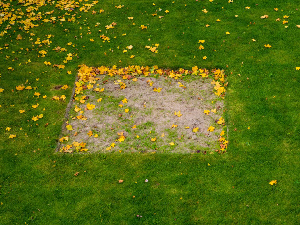 秋天里孩子们的沙箱图片下载