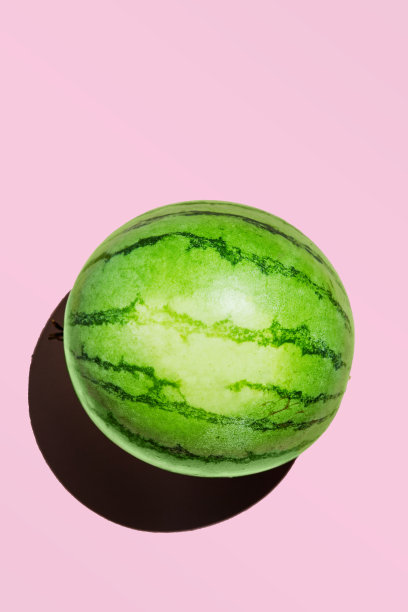 粉色背景上的迷你西瓜图片下载