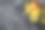环保可重复使用购物网袋，装满水果。环保，无塑料。黑色背景。前视图。本空间图片下载