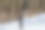 一名穿着滑雪服、面带微笑的男子在积雪覆盖的斜坡上用拖曳式电梯滑雪。图片下载