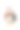 剪出企鹅图片下载