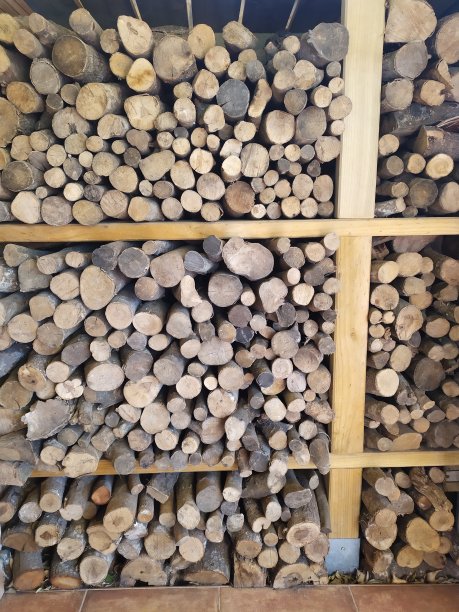 为冬天收集柴火图片下载