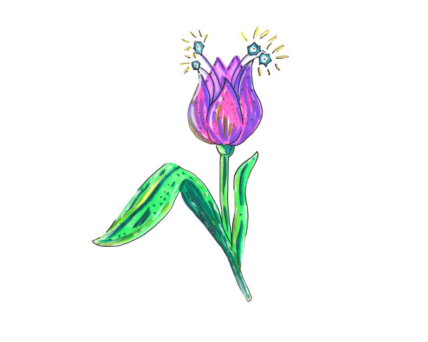 手绘的魔术粉色抽象花。图片下载