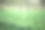 温室中大量生长的中国开兰植物图片下载