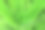近距离观察生长在花园里的芦荟植物。图片下载