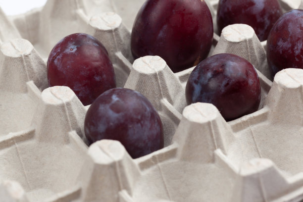 六个紫色的李子图片下载