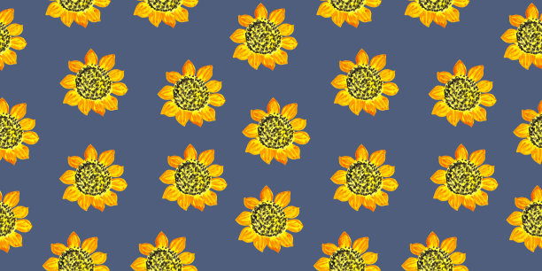 盛开的黄色向日葵，鲜艳的夏季油籽花。无缝的花图案孤立在蓝色背景上。图片下载