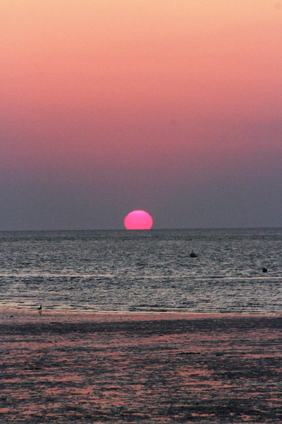 海滩上的日落图片下载