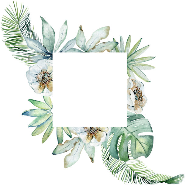 框架用树叶图片下载