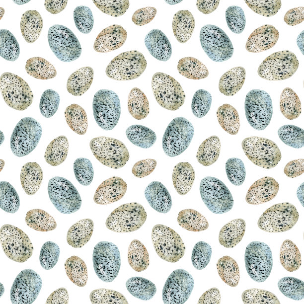 鸟蛋无缝图案设计图片下载