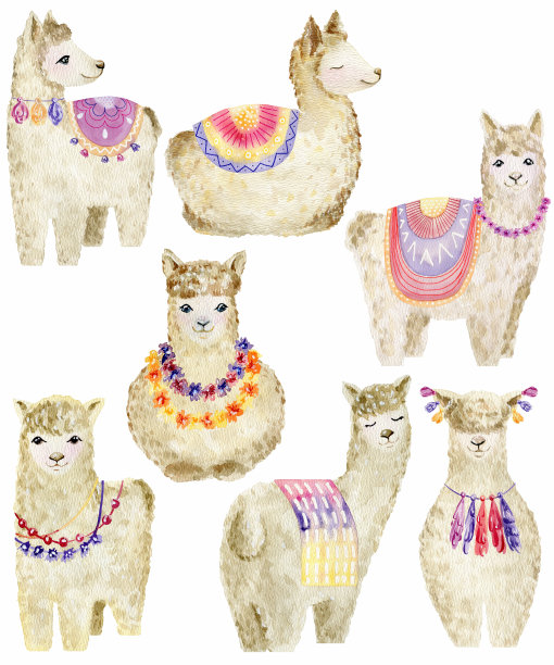 可爱的水彩骆驼。图片下载