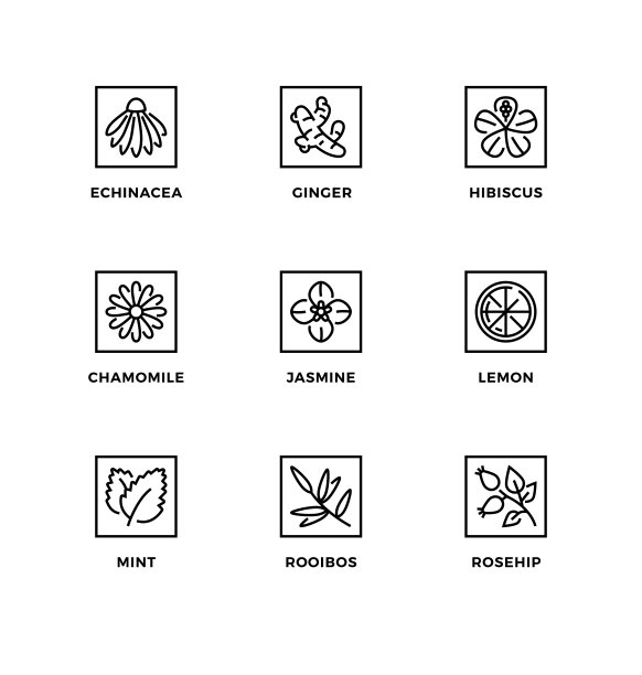 向量集设计元素，标志设计模板，图标和徽章的味道的有机茶。图片下载