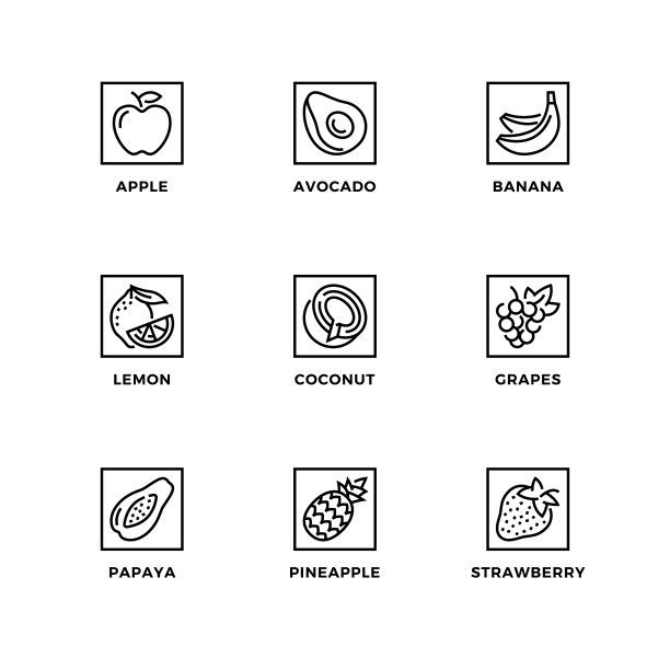 矢量设计元素，标志设计模板，图标和徽章的健康水果。图片下载