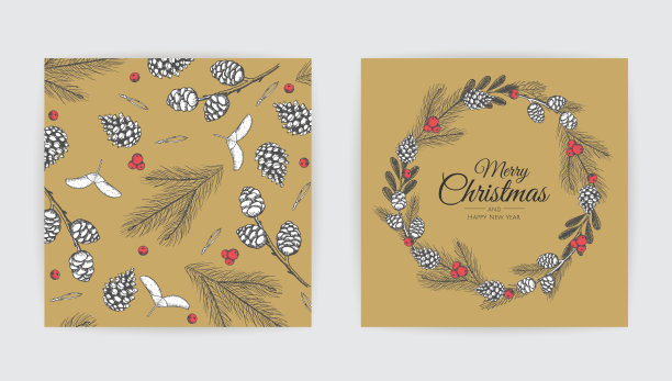 矢量圣诞卡片集。假日派对卡片模板设计图片下载